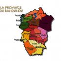 imcongo