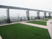 Congo Trade Center - complexe immobilier